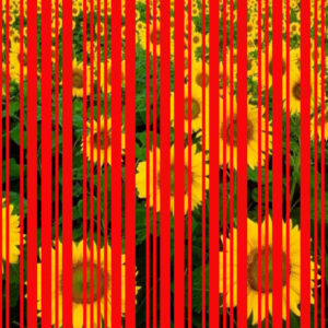 Piano/Quadro